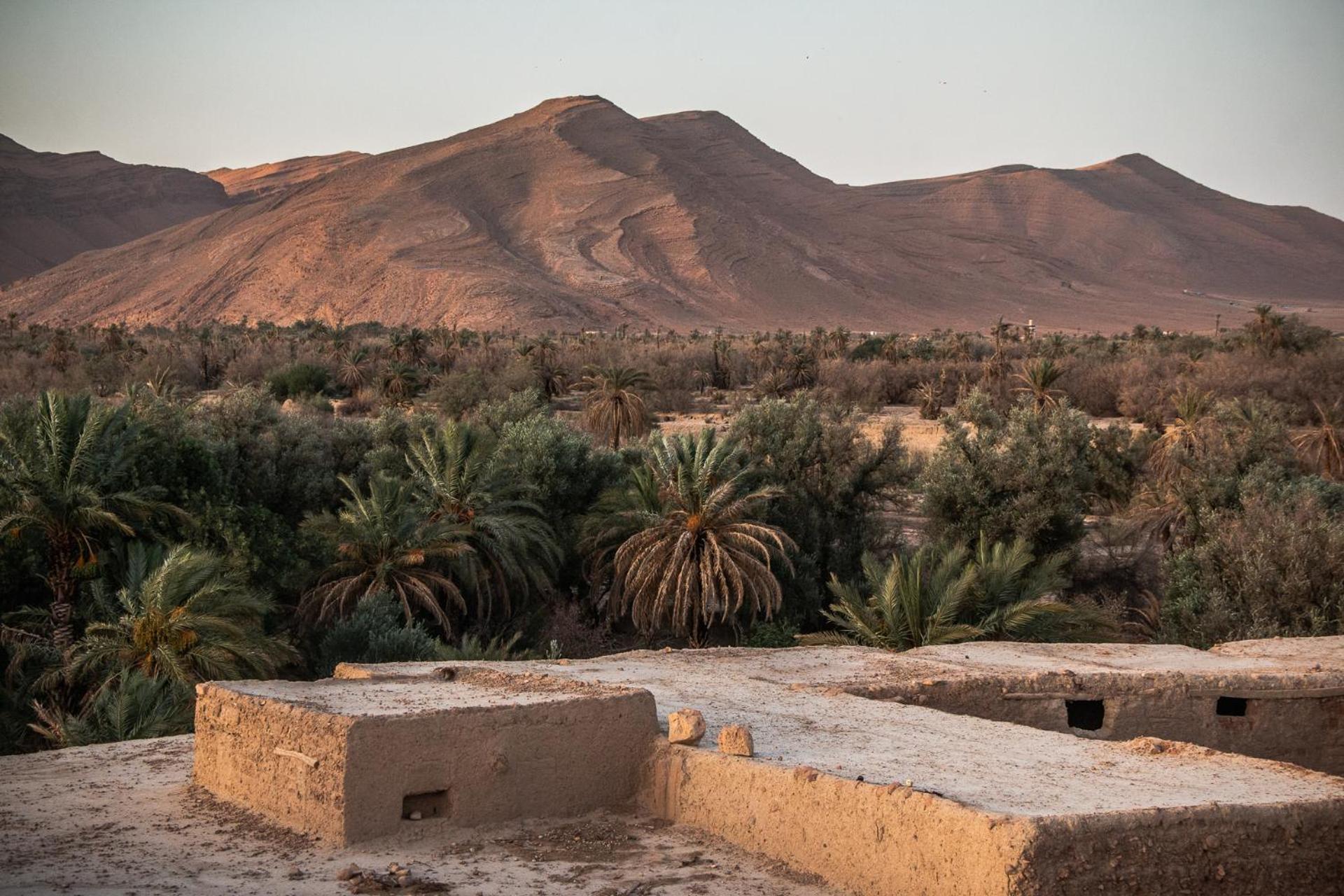 Oasis Travel Bed & Breakfast Tazouka Exterior photo