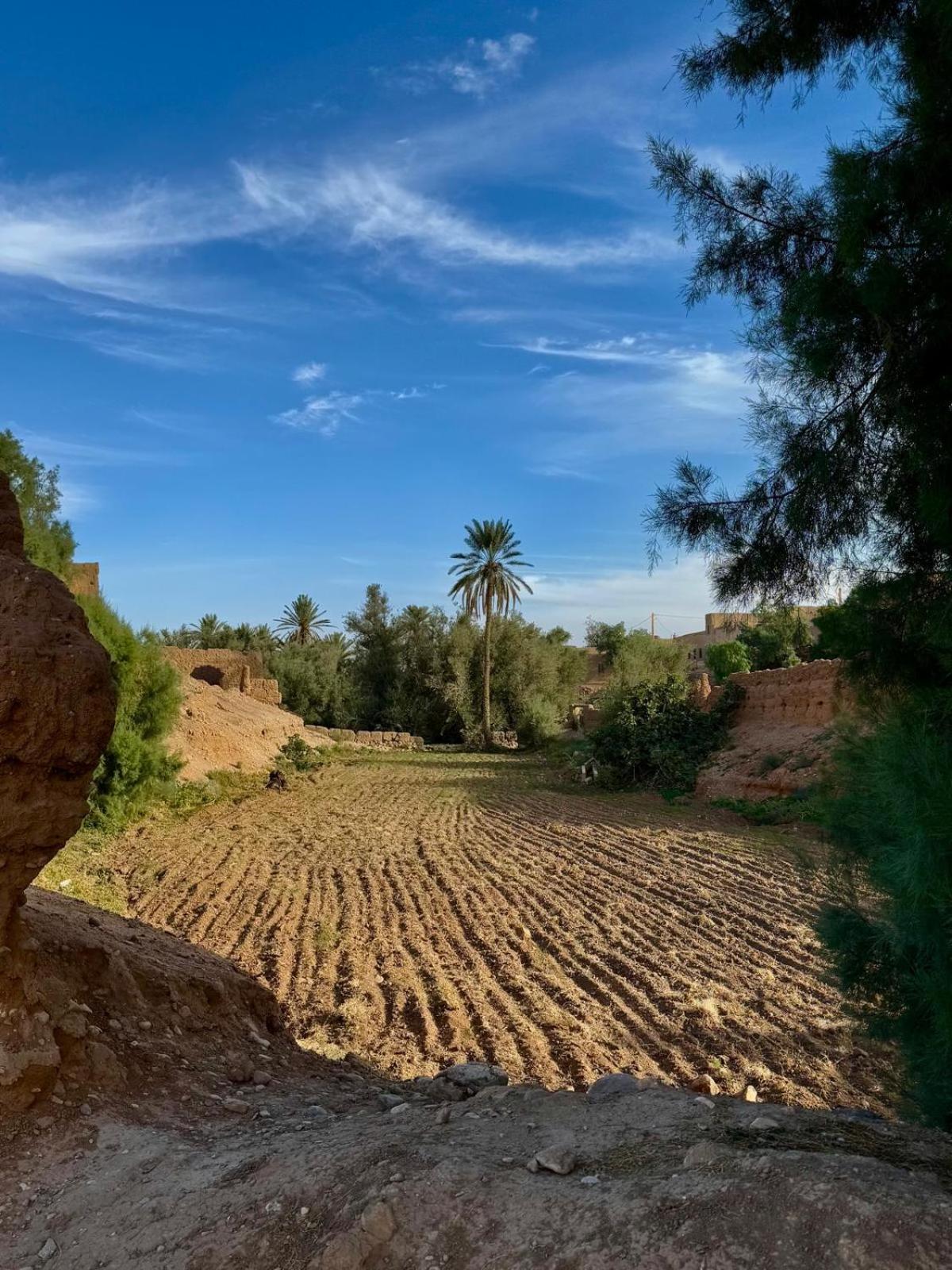 Oasis Travel Bed & Breakfast Tazouka Exterior photo